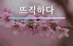 뜨직하다 뜻: 마음이 선뜻 내키지 않아 꺼림칙하고 싫다. ⇒규범 표기는 ‘뜨악하다’이다.