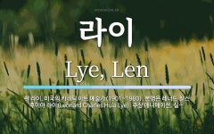 라이 뜻: 렌 라이, 미국의 키네틱 아트 예술가(1901~1980). 본명은 레너드 찰스 후이아 라이