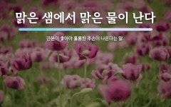 맑은물부경독 | 맑은 샘에서 맑은 물이 난다 뜻: 근본이 좋아야 훌륭한 후손이 나온다는 말.
