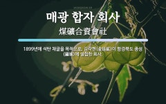서호사합자회사 | 매광 합자 회사 뜻: 1899년에 석탄 채굴을 목적으로, 김각현(金珏鉉)이 함경북도 종성(鍾城)에 설립한 회사.