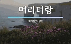 깍순이머리터 | 머리터랑 뜻: ‘머리털’의 방언