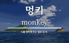 멍키 뜻: 드롭 해머에 쓰는 철로 된 추.