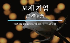 대한엠앤에이컨설팅주 | 모체 기업 뜻: 어떠한 기업들이 갈려 나오거나 생겨난 근본이 되는 기업.