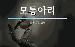 모통이꼬마김밥 - 부천시 원미구 부천로 78 | 모통아리 뜻: ‘모퉁이’의 방언