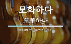 모화상가당구장 | 모화하다 뜻: 중국의 문물이나 사상을 우러러 사모하다.