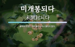 삼성개봉판매장 | 미개봉되다 뜻: 봉하여 두었던 것이 떨어지거나 열리지 않다.