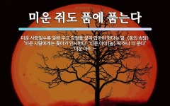 미운 쥐도 품에 품는다 뜻: 미운 사람일수록 잘해 주고 감정을 쌓지 않아야 한다는 말. ‘미운 사람에게는