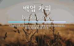 (주)카피몰데이타시스템 | 백업 카피 뜻: 시스템의 오류나 데이터의 소실로 인한 상황을 대비하여 관련 파일 또는 데이터 세트를 복사해