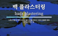 그것이 경화한 후에 표면을 바르는 일. 백 플라스터링 뜻: 나뭇조각을 댄 벽의 이면에 플라스터를 바르고 그것이 경화한 후에 표면을 바르는 일.