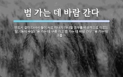 범 가는 데 바람 간다 뜻: 반드시 같이 다녀서 둘이 서로 떠나지 아니할 경우를 비유적으로 이르는 말. 범 가는 데 바람 간다 뜻: 반드시...