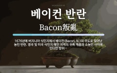 베이컨 주식회사 (BAYCON Co., Ltd.) | 베이컨 반란 뜻: 1676년에 버지니아 식민지에서 베이컨(Bacon, N.)의 주도로 일어난 농민 반란. 영