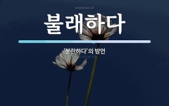 불래하다 뜻: ‘분란하다’의 방언