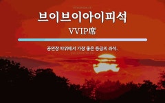 브이브이아이피(VVIP) 에스테틱 | 브이브이아이피석 뜻: 공연장 따위에서 가장 좋은 등급의 좌석.