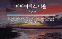 비아이에스 비율 뜻: 국제 결제 은행에서 정하는 은행의 위험 가중 자산 대비 자기 자본 비율. 각국 은행의 건전