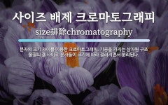 진마토그래피 | 사이즈 배제 크로마토그래피 뜻: 분자의 크기 차이를 이용한 크로마토그래피. 기공을 가지는 삼차원 구조 물질의 겔 사이로 분