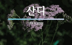 주식회사 산대들 | 산디 뜻: ‘산대’의 변한말.