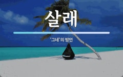 살래 뜻: ‘그네’의 방언