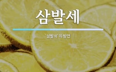 경일전자경일;구산;삼계열쇠 | 삼발세 뜻: ‘삼발쇠’의 방언
