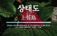 Foto de resultados de búsqueda de Naver 4