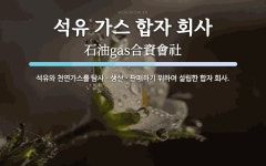 서호사합자회사 | 석유 가스 합자 회사 뜻: 석유와 천연가스를 탐사ㆍ생산ㆍ판매하기 위하여 설립한 합자 회사.