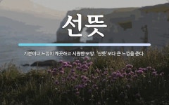 선뜻 뜻: 기분이나 느낌이 깨끗하고 시원한 모양. ‘산뜻’보다 큰 느낌을 준다.