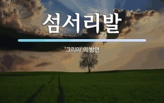 섬서리발 뜻: ‘그리마’의 방언