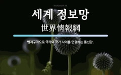 세계 정보망 뜻: 범지구적으로 국가와 국가 사이를 연결하는 통신망.