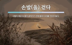 손발을 걷다 뜻: 사람이 죽은 뒤 몸이 굳어지기 전에 팔과 다리를 거두어 놓다.