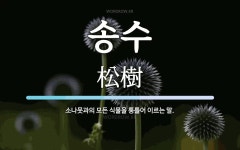 송수 뜻: 소나뭇과의 모든 식물을 통틀어 이르는 말.