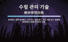 수림건설기술공사주 | 수림 관리 기술 뜻: 솎아베기, 잡목 솎아베기, 가지치기, 덩굴 베기, 제초, 메워 심기, 병충해 방제처럼 수림