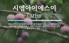 아이에스이컨설팅주 | 시엠아이에스이 뜻: 오에스아이(OSI) 환경의 네트워크에 연결되어 있는 시스템을 관리하기 위해 제공되는 특정 시엠아이에스이 뜻: 오에스아이...