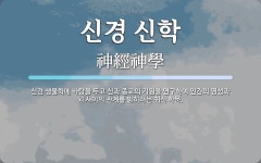 영성MaJiang기원 | 신경 신학 뜻: 신경 생물학에 바탕을 두고 신과 종교의 기원을 연구하여 인간의 영성과 뇌 사이의 관계를 밝