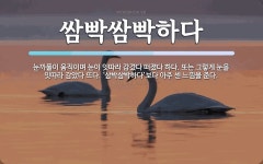 쌈빡쌈빡하다 뜻: 눈까풀이 움직이며 눈이 잇따라 감겼다 떠졌다 하다. 또는 그렇게 눈을 잇따라 감았다 뜨다.