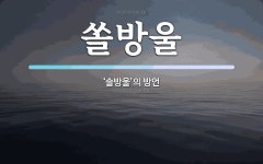 쏠방울 뜻: ‘솔방울’의 방언