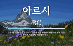 아르시 뜻: 오류 제어 신호와 감시 신호의 전송을 위하여 특별히 사용하는 채널. 전송 방향은 정보 전달