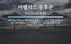 아벨리스 증후군 뜻: 후두, 인두, 입천장의 한쪽 마비 및 통증과 온도 감각이 교차되는 반감각 마비. 숨뇌 뒤판