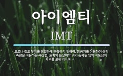 삼주외식산업(주)아이엠티 | 아이엠티 뜻: 도로나 철도 부지를 정밀하게 관측하기 위하여, 항공기를 이용하여 삼각 측량을 적용하는 측정