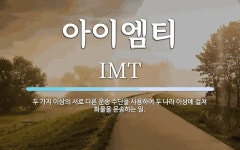 삼주외식산업(주)아이엠티 | 아이엠티 뜻: 두 가지 이상의 서로 다른 운송 수단을 사용하여 두 나라 이상에 걸쳐 화물을 운송하는 일.