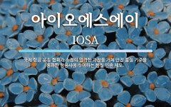 이에스오에이 | 아이오에스에이 뜻: 국제 항공 운송 협회가 소정의 엄격한 과정을 거쳐 안전 품질 기준을 통과한 항공사에 수여하