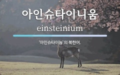 아인슈타이니움 뜻: ‘아인슈타이늄’의 북한어.