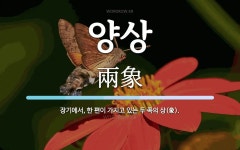 양상 뜻: 장기에서, 한 편이 가지고 있는 두 쪽의 상(象).