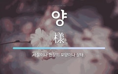 양 뜻: 사물이나 현상의 모양이나 상태.