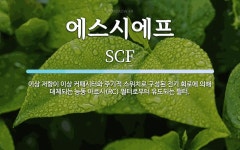 에스시에프파트너스 | 에스시에프 뜻: 이상 저항이 이상 커패시터와 주기적 스위치로 구성된 전기 회로에 의해 대체되는 능동 아르시