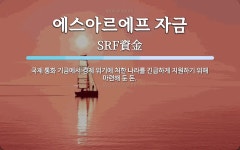 나라에프앤드씨주 | 에스아르에프 자금 뜻: 국제 통화 기금에서 경제 위기에 처한 나라를 긴급하게 지원하기 위해 마련해 둔 돈.