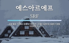나라에프앤드씨주 | 에스아르에프 뜻: 국제 통화 기금에서 경제 위기에 처한 나라를 긴급하게 지원하기 위해 마련해 둔 돈.