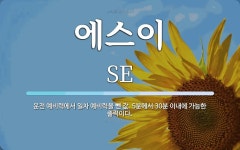 에스이 뜻: 운전 예비력에서 일차 예비력을 뺀 값. 5분에서 30분 이내에 가능한 출력이다.