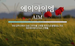에이아이이앤아이 | 에이아이엠 뜻: 국내 공역 안에서 공중 근무자를 교육할 목적으로 발행되는 주요 에프에이에이(FAA) 간행물