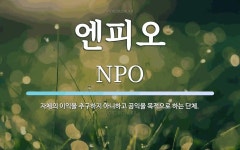 주식회사 엔피오브이 | 엔피오 뜻: 자체의 이익을 추구하지 아니하고 공익을 목적으로 하는 단체.