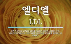 엘디엘 뜻: 어떤 한 언어의 구문법과 의미를 정의하기 위하여 사용하는 언어. 메타언어의 일종으로, 프로