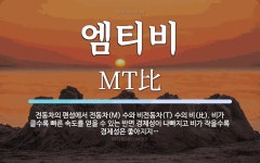 (유)엠티비여행사 | 엠티비 뜻: 전동차의 편성에서 전동차(M) 수와 비전동차(T) 수의 비(比). 비가 클수록 빠른 속도를